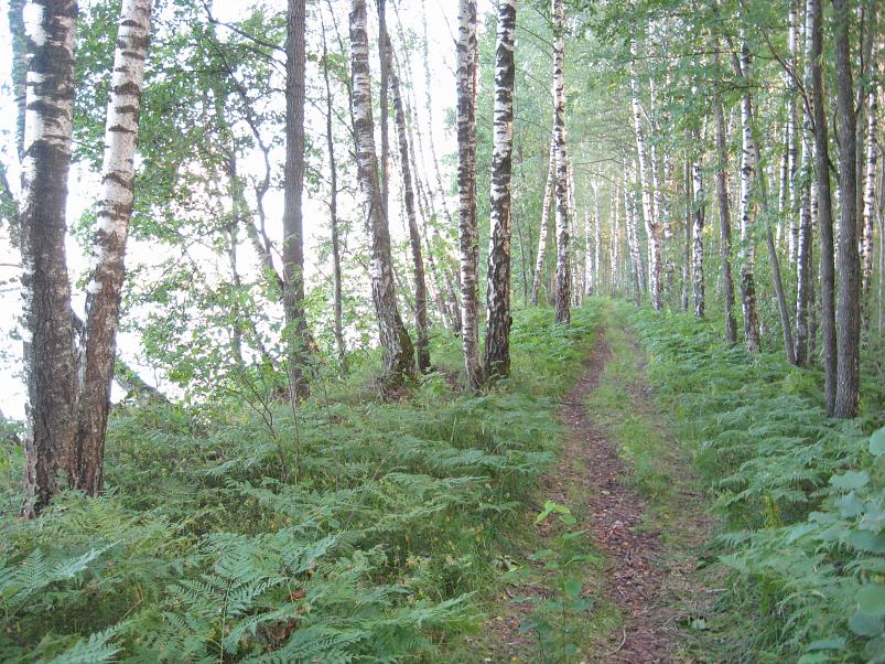 Narva ja Poruni j�gi 2007