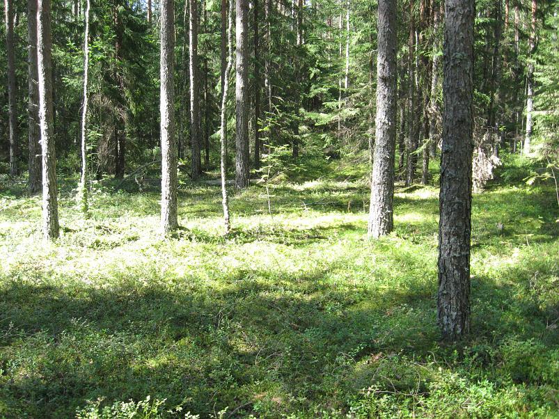 Narva ja Poruni j�gi 2007