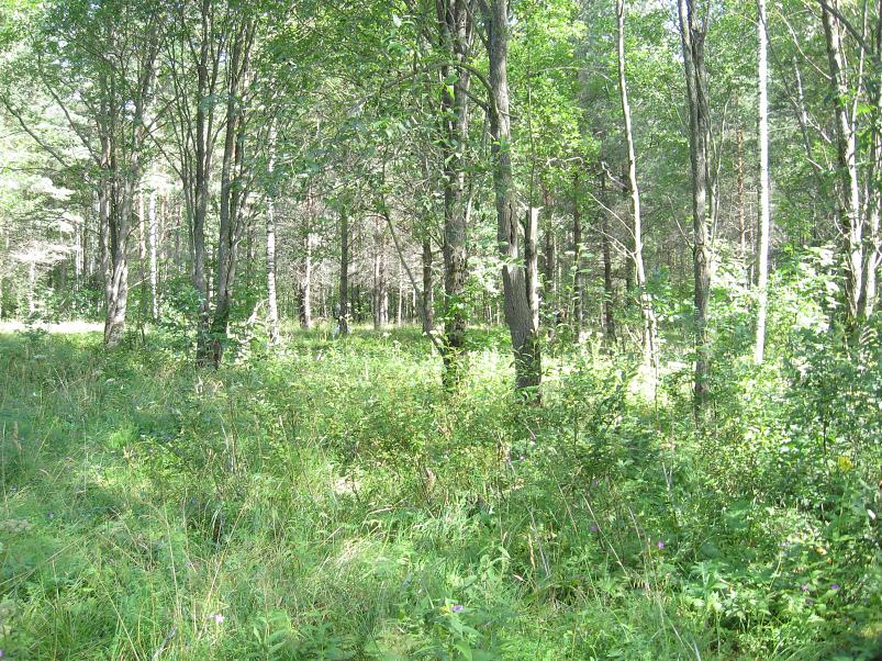 Narva ja Poruni j�gi 2007