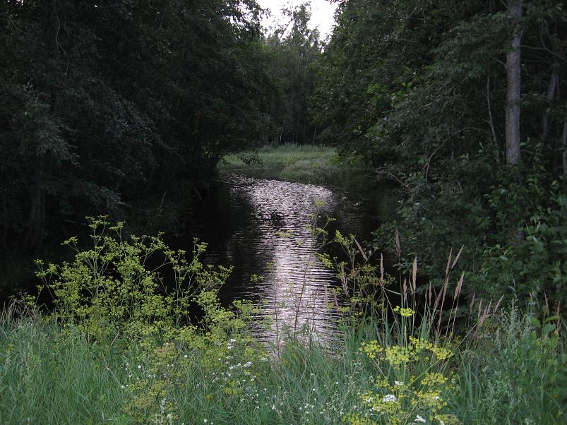 Narva ja Poruni j�gi 2007