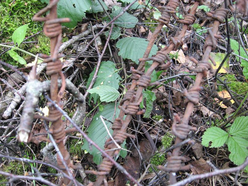 Narva ja Poruni j�gi 2007