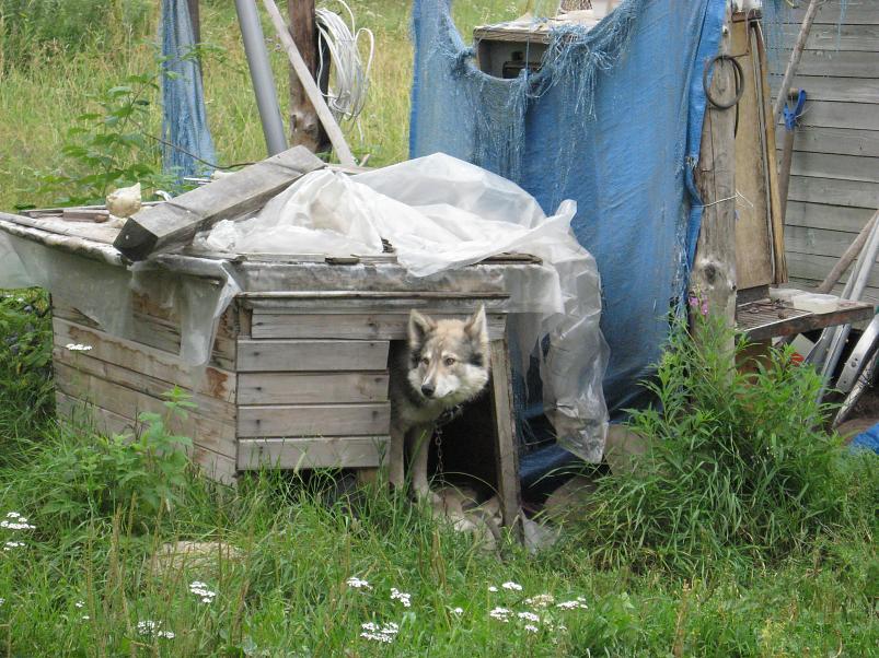 Narva ja Poruni j�gi 2007