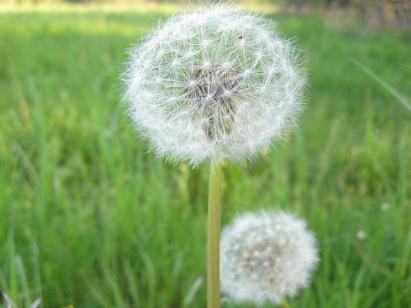 Tartust Peipsisse 2007