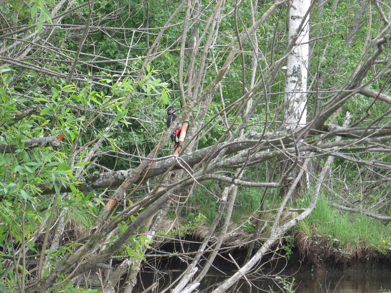 Tartust Peipsisse 2007