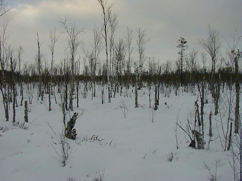 Suuskadel Ahunapalus 07