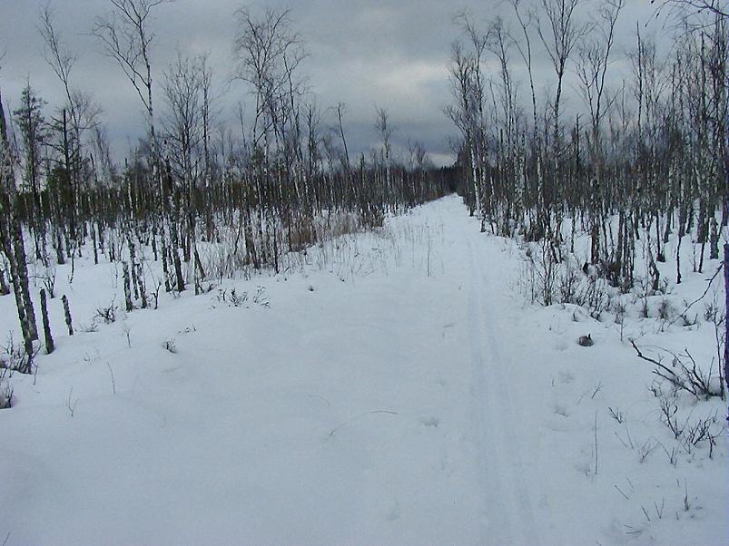 Suuskadel Ahunapalus 07