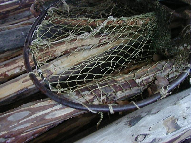 Suuskadel Ahunapalus 07