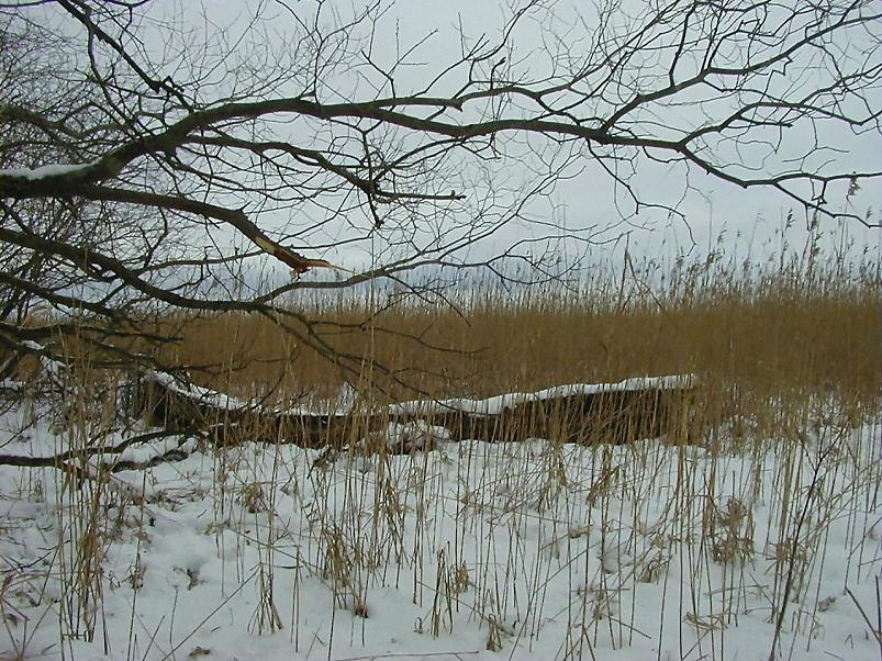 Suuskadel Ahunapalus 07