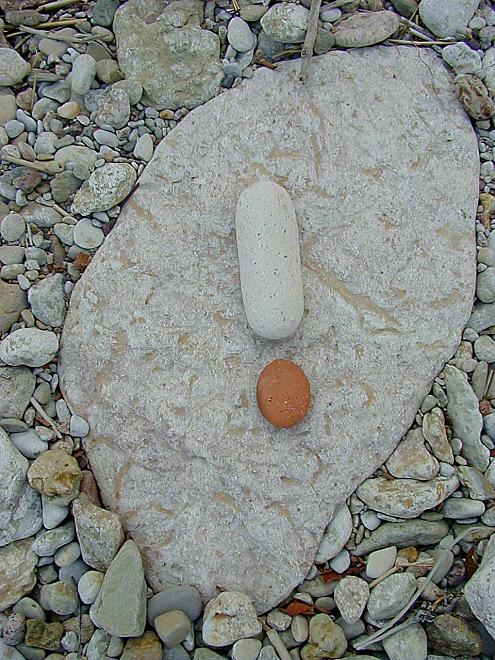 Pankrannikul I aug. 2006