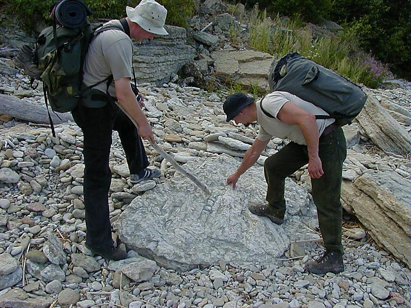 Pankrannikul I aug. 2006