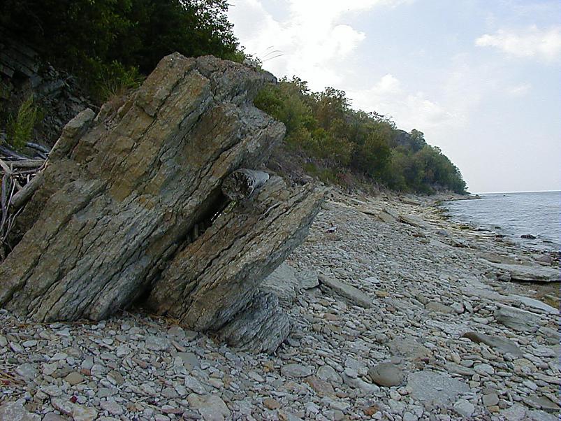 Pankrannikul I aug. 2006