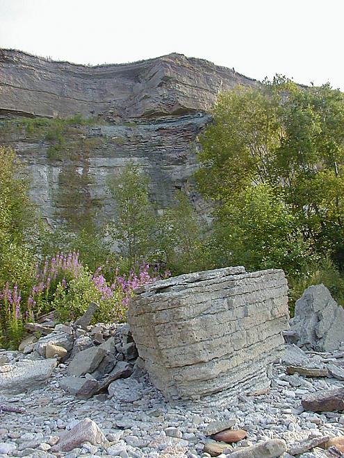 Pankrannikul I aug. 2006