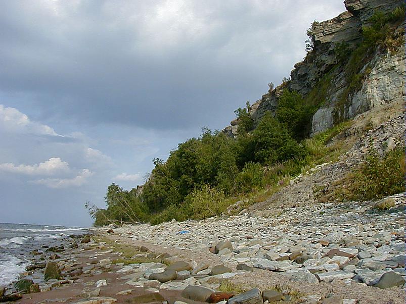 Pankrannikul I aug. 2006