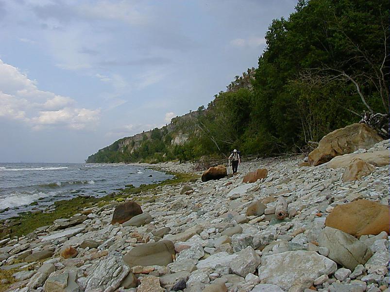 Pankrannikul I aug. 2006