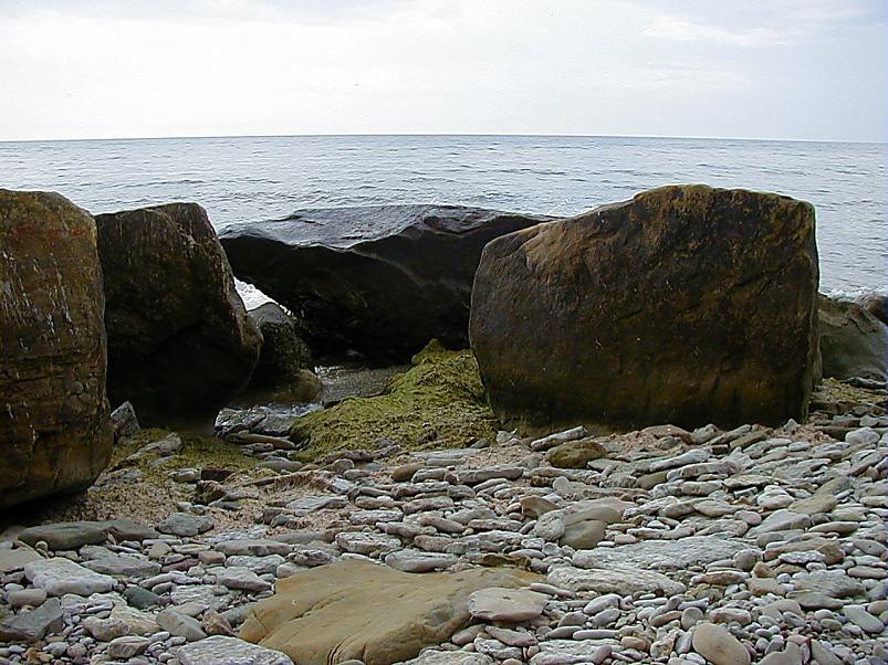 Pankrannikul I aug. 2006