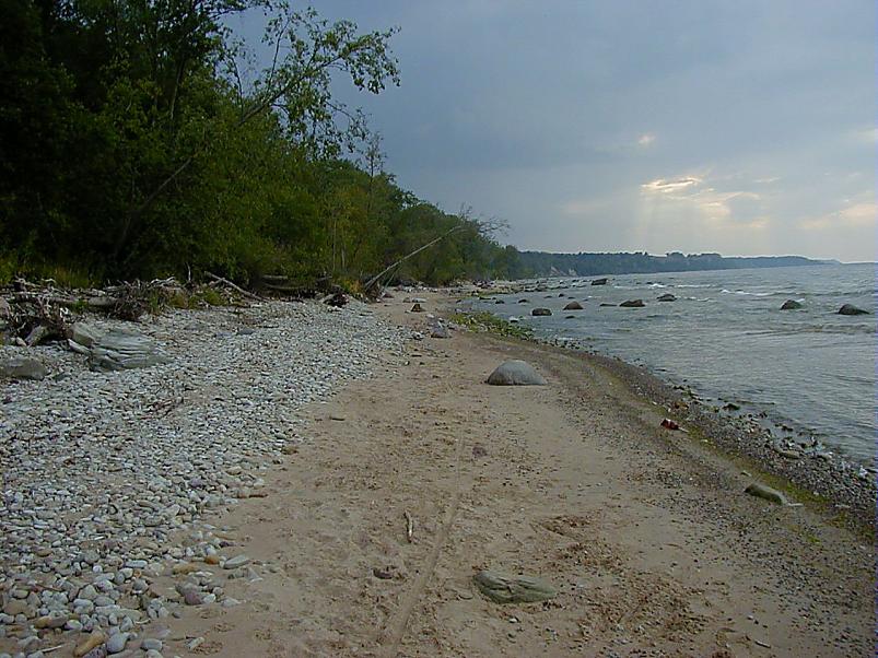 Pankrannikul I aug. 2006