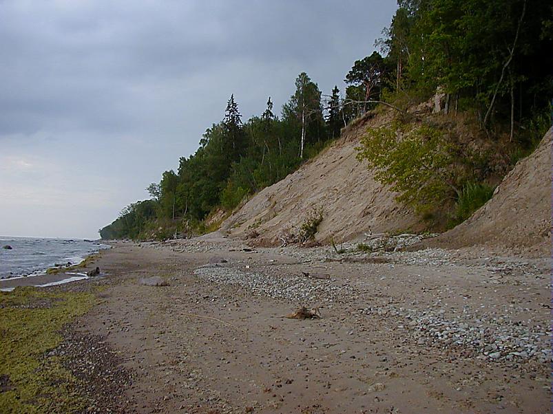 Pankrannikul I aug. 2006