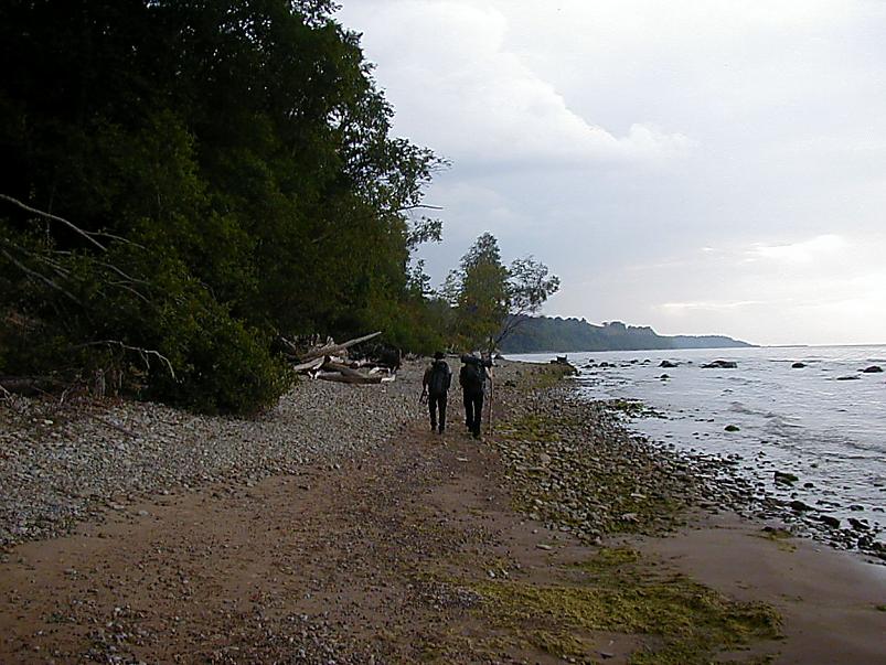 Pankrannikul I aug. 2006