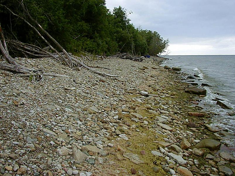 Pankrannikul I aug. 2006