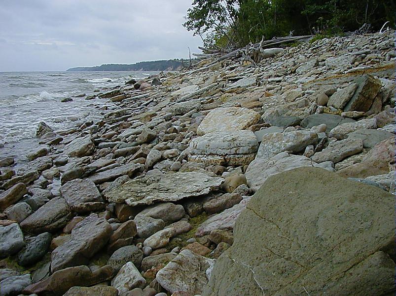 Pankrannikul I aug. 2006