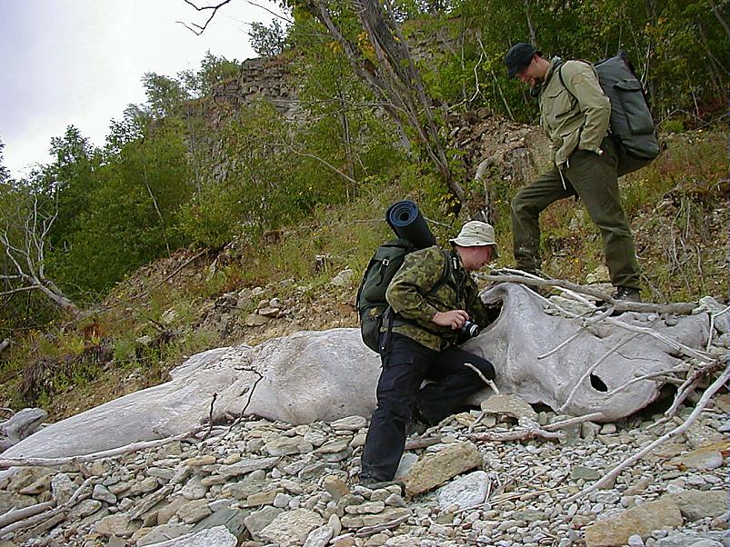 Pankrannikul I aug. 2006