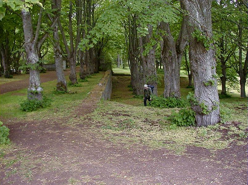 Pankrannikul I aug. 2006