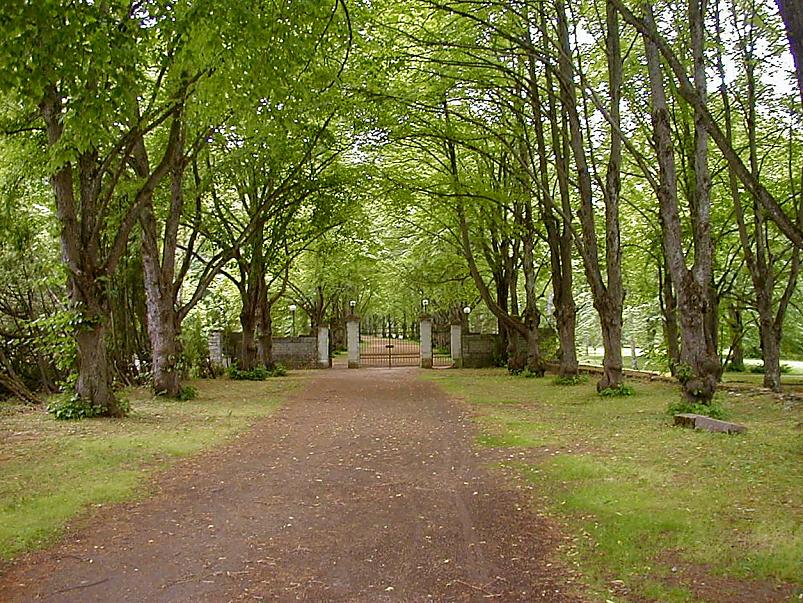 Pankrannikul I aug. 2006