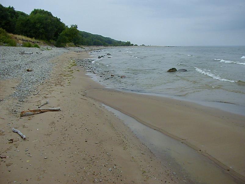 Pankrannikul I aug. 2006