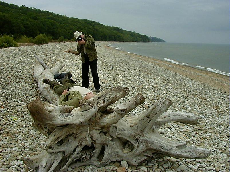 Pankrannikul I aug. 2006