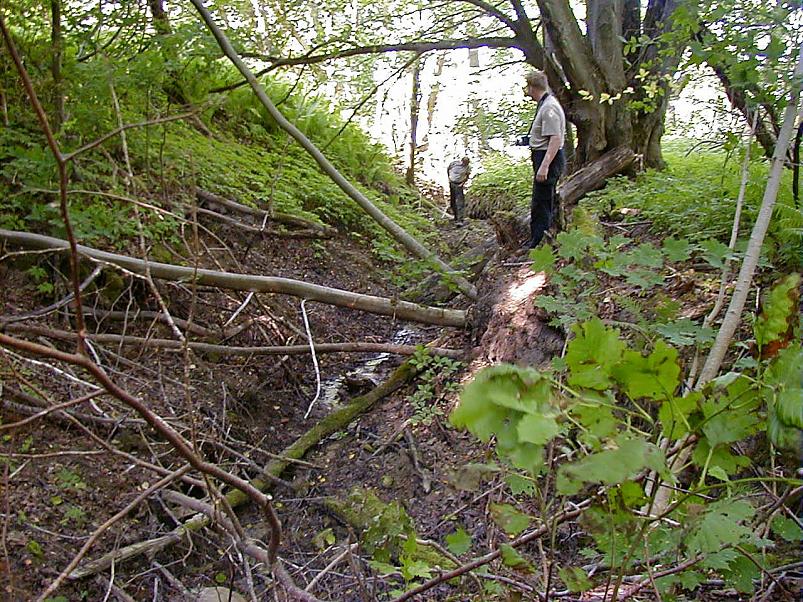 Pankrannikul I aug. 2006