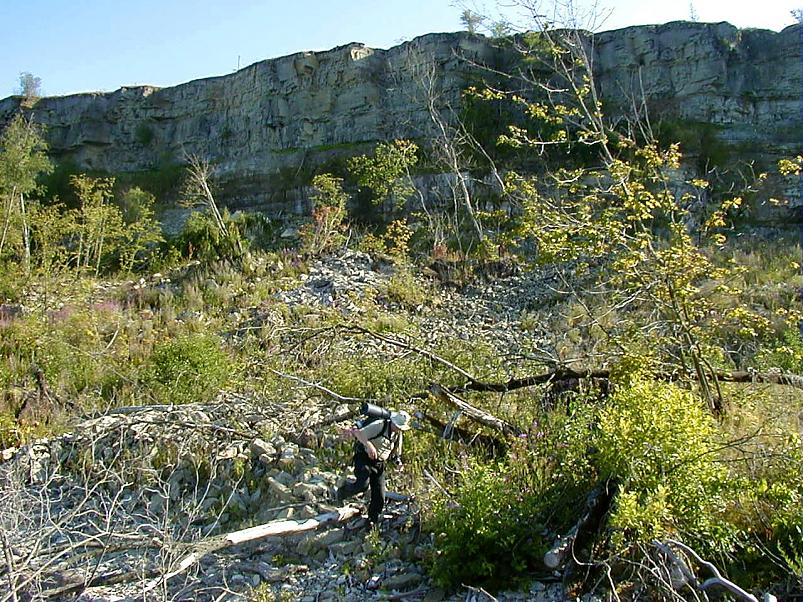 Pankrannikul I aug. 2006