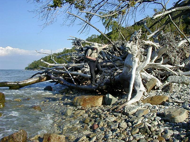 Pankrannikul I aug. 2006