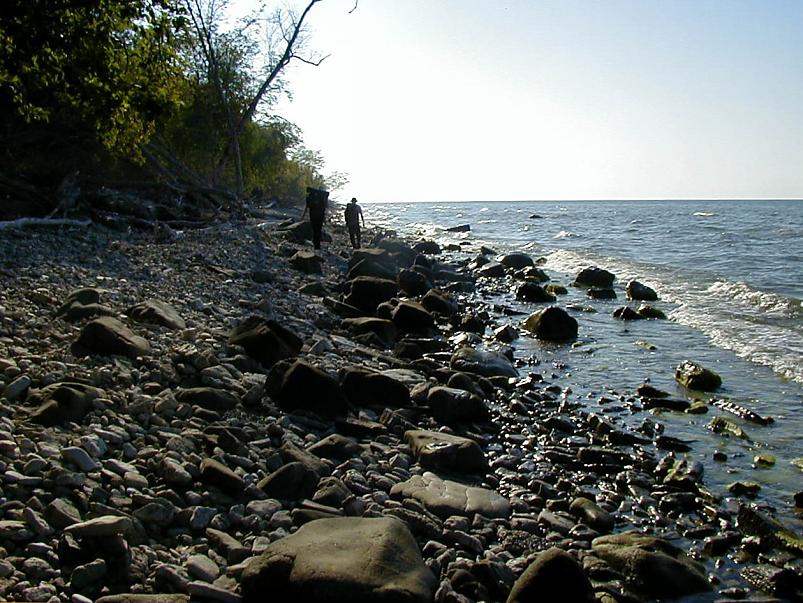 Pankrannikul I aug. 2006